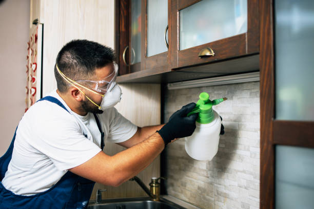 Best Cockroach Control Services  in Beebe, AR