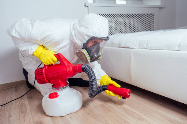Best Mosquito Control Services  in Beebe, AR