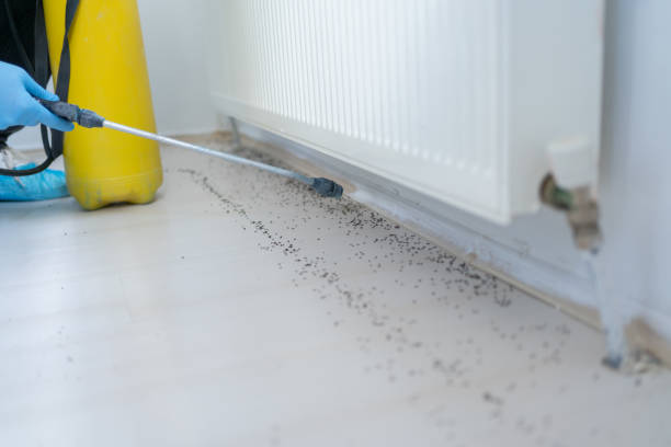 Professional Pest Control in Beebe, AR